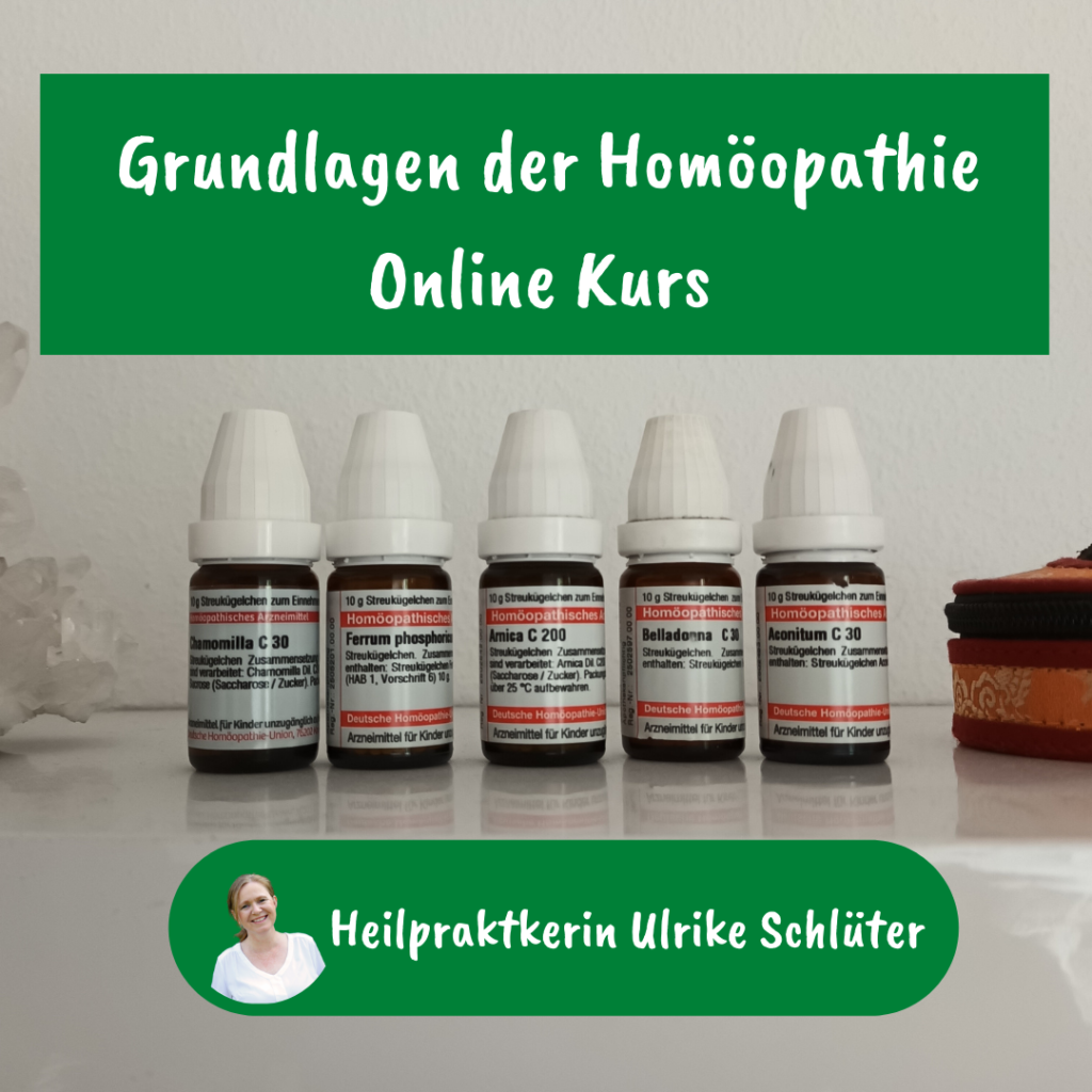 Online Grundkurs Homöopathie